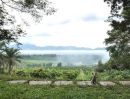 ขายที่ดิน - ขายถูก เหมือนให้ฟรี ที่ดินผืนใหญ่223ไร่ พร้อมบ้านบนเนินเขาสูงสุดของพื้นที่ อ.พร้าว เชียงใหม่ วิวภูเขา ที่สวนขนาดใหญ่ คุ้ม Chiangmai Land for sale