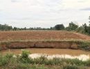 ขายที่ดิน - ที่ดินสำหรับเกษตรกรรม ปศุสัตว์ โฉนด ติดทางสาธารณะ มีแหล่งน้ำ เพชรบูรณ์