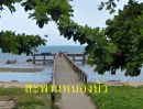 ขายที่ดิน - ขายที่ดินเปล่า ติดชายหาดบ้านหนองบัว (อำเภอละแม จังหวัดชุมพร)