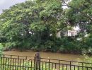 ขายบ้าน - ขายบ้านอำเภอเมืองเชียงใหม่ หลังโลตัสรวมโชค เนื้อที่ 77 ตร.ว #ลดราคา ทำเลตัวเมืองด้านข้างติดแม่น้ำ