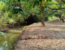 ขายที่ดิน - ขายที่สวนลำใยบ้านพระบาทมะขามหวานสันป่าตองติดลำห้วยพร้อมโอน