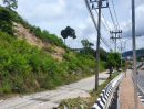 ขายที่ดิน - ขายที่ดิน ภูเก็ต ป่าตอง เนื้อที่10ไร่ 31.2ตรว. วิวหาดเมืองป่าตอง Land for sale in Phuket, Patong, area 10 rai. 31.2square wa. Patong city beach view