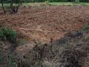 ขายที่ดิน - ขายที่ดิน 45ไร่ (นส.3ก.) อ.เกษตรสมบูรณ์ จ.ชัยภูมิ เหมาทำการเกษตร ทำนา ทำไร่ ทำสวน ปลูกอ้อย