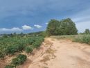 ขายที่ดิน - ที่ดินแบ่งขายสีม่วงลาย 4 ไร่ ห้วยปราบ-มาบยางพร เหมาะทำหอพัก หมู่บ้าน อ.ปลวกแดง จ.ระยอง
