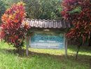 ขายที่ดิน - ขายสวนมังคุด ปาล์มและยางพารา อ.ละอุ่น จ.ระนอง Beautiful land for sale, Ranong, Mangosteen and Rubber with concrete road in land.