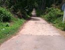 ขายที่ดิน - ขายสวนมังคุด ปาล์มและยางพารา อ.ละอุ่น จ.ระนอง Beautiful land for sale, Ranong, Mangosteen and Rubber with concrete road in land.
