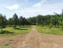 ขายที่ดิน - สวนทุเรียนให้ผลผลิตแล้วสวยๆ 34ไร่2งาน ไร่ละ7.5แสน จันทบุรี