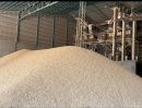 ขายโรงงาน / โกดัง - ขายโรงสีข้าว กำลังผลิต 2,000 ตัน ต่อวัน Rice mill for sale thailand