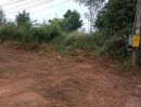 ขายที่ดิน - ขายที่ดิน 3 ไร่ 1 งาน 63 ตารางวา ติดถนนเส้นบ้านคา-ราชบุรี
