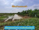 ขายที่ดิน - ขายที่ดินบ้านคลองเจ้า 1 ไร่ ถึง 3 ไร่ ถนน โครงการบ้านคลองเจ้า ต.นราภิรมย์ อ.บางเลน จ.นครปฐม