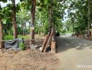 ให้เช่าที่ดิน - ให้เช่าที่ดินเชียงใหม่ ที่ดินถนนเลียบทางรถไฟ ยางเนิ้ง สารภี เชียงใหม่ Land for RENT, on Railway roadside, YangNoeng, Saraphi, Chiangmai, THAILAND.
