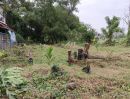 ขายที่ดิน - ขายที่ดินเปล่าจัดสรรเพื่อการก่อสร้างบ้านพัก หมู่บ้านสิวลีรังสิตโครงการ1คลองสอง