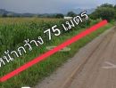 ขายที่ดิน - ขายที่ดิน 25ไร่ต.ลำนารายณ์ อ.ชัยบาดาล ลพบุรี ขายที่ดิน 25ไร่ต.ลำนารายณ์ อ.ชัยบาดาล ลพบุรี