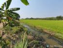 ขายที่ดิน - ขายที่ดิน คลอง10 หนองเสือ ติดถนนซอย 600 ตรว เหมาะทำการเกษตร ปลูกบ้าน หรือซื้อเก็บไว้เก็งกำไรในอนาคต