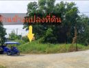 ขายที่ดิน - ขายที่ดิน 2 ไร่ ซ.คลองสี่ตะวันออก36 ต.คลองสี่ อ.คลองหลวง จ.ปทุมธานี