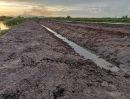 ขายที่ดิน - ขายที่ดินร่องสวนเกษตรน้ำท่าอุดมสมบูรณ์ ติดคลองส่งน้ำ เนื้อที่ 3ไร่ 75 ตรว.กุยบุรี ประจวบฯ