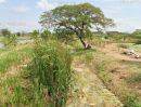 ขายที่ดิน - ที่ดินเเปลงใหญ่ เหมาะพัฒนาเชิงพาณิชย์ ตรงข้ามหมู่บ้านพิศาลสุวรรณภูมิ