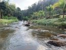 ขายที่ดิน - ขายที่ดินติดถนนติดลำธารน้ำบ้านป่าเมี่ยงดอยสะเก็ตราคาถูก