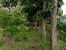 ขายที่ดิน - ที่ดิน อ.เชียงคาน จ.เลย ยกแปลงราคาพิเศษ3.8 ล้าน เนื้อที่ 8ไร่ เศษ ติดฝายน้ำ สวนป่าสัก