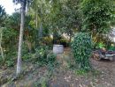ขายบ้าน - ขายบ้านสวนพร้อมที่ดินห่างถนนต้นยางเพียง 50เมตรพร้อมโอน