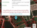 ขายที่ดิน - ขายที่ดินครุฑแดง 4-3-75 ไร่ วิวภูเขา ขายต่ำกว่าราคาตลาด ตำบลหินเหล็กไฟ อำเภอหัวหิน จังหวัดประจวบคีรีขันธ์