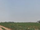 ขายที่ดิน - ขายที่ดิน 109.1.28 ไร่ ผัวสีม่วง บ่อวิน ศรีราชา ชลบุรี