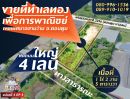 ขายที่ดิน - ขายที่ดิน เนื้อที่ 1-2-05 ไร่ #น้ำไม่ท่วม เทศบาลตำบลสามง่าม อำเภอดอนตูม จังหวัดนครปฐม