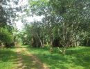 ขายที่ดิน - ขายที่ดิน ภบท.5 สวนส้มโอ40ไร่ มีบ่อน้ำสำหรับทำการเกษตร ใกล้ชุมชน