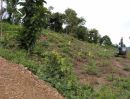 ขายที่ดิน - ที่ดิน บ้านและสวน อากาศดี ตำบลยางหัก ปากท่อ ราชบุรี