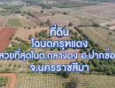 ขายที่ดิน - ขาย ที่ดินแปลงสวย เขาใหญ่ (Land KhaoYai) จำนวน 32 ไร่