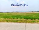 ขายที่ดิน - ขายที่ดิน 2-2-74.7 ไร่ อ.ดอยสะเก็ด จังหวัดเชียงใหม่