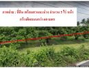 ขายที่ดิน - ขายที่ดิน 5 ไร่ พร้อมสวนมะม่วง เมืองสุพรรณบุรี ทำเลเหมาะทำที่พัก รีสอร์ท การเกษตร