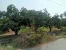 ขายที่ดิน - ขายที่ดิน 5 ไร่ พร้อมสวนมะม่วง เมืองสุพรรณบุรี ทำเลเหมาะทำที่พัก รีสอร์ท การเกษตร