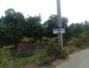 ขายที่ดิน - ขายที่ดิน 5 ไร่ พร้อมสวนมะม่วง เมืองสุพรรณบุรี ทำเลเหมาะทำที่พัก รีสอร์ท การเกษตร