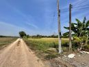 ขายที่ดิน - ขายที่ดินคลอง8 หนองเสือ ซอยภุชงค์ ปทุมธานี 8 ล็อก ล็อกละ 100 ตร.วา