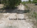 ขายที่ดิน - ขายที่ดินสร้างบ้าน หลังตลาดสันติสุข บ้านปลาดุก 226 ตารางวา