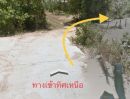 ขายที่ดิน - ขายที่ดินสร้างบ้าน หลังตลาดสันติสุข บ้านปลาดุก 226 ตารางวา