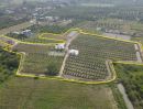 ขายบ้าน - ขายบ้านสวนสันป่าตอง จ.เชียงใหม่ ไร่กระท่อม 1,500 ต้น เนื้อที่ 17 ไร่ ยกแปลง 20 ล้าน