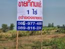 ขายที่ดิน - ขายที่ดิน ที่ถมแล้ว เนื้อที่ 1 ไร่ พร้อมบ่อน้ำ บ้านหนองตาจอน ต.ทุ่งหลวง อ.ปากท่อ จ.ราชบุรี