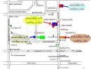 ขายที่ดิน - ขายที่ 16 ไร่ ติดถนน 4 เลน บ้านโพธิ์-แปลงยาว (สาย 3304) อ.บ้านโพธิ์ จ.ฉะเชิงเทรา