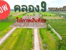 ขายที่ดิน - ขายที่ดิน ไม่ไกลจากกรุงเทพ บรรยากาศดี คลอง 9 หนองเสือ จ.ปทุมฯ ที่ดินติดถนน ที่ดินปลูกบ้าน ทำโคกหนองนา ซื้อเก็บ บ้านสวนวัยเกษียณ