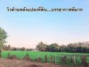 ขายที่ดิน - ที่ดินเปล่าสันกำแพงบวกค้าง 200 ตรว. เพียง 2.19 ล้านเท่านั้น