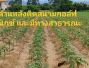 ขายที่ดิน - ขายที่ดิน 56 ไร่ ติดสนามกอล์ฟ ทำเลเหมาะทำโครงการจัดสรร บ้านพูลวิลล่า พัทยา