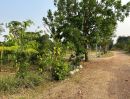 ขายที่ดิน - ขายที่ดิน 200 ตรว. พร้อมบ้านสวน โคกตูม เมือง ลพบุรี