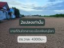 ขายที่ดิน - ขายที่ดินเปล่า ขนาด 2 ไร่ 85ตร.วา (มีให้เลือก2แปลง) ทำเลใจกลาง อ.เมืองพิษณุโลก ตร.วาละ 4,300บาท เท่านั้น!