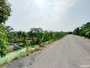 ขายที่ดิน - ขาย ที่ดิน 33 ไร่ ติดแม่น้ำท่าจีน สวนส้ม บ้านแพ้ว สมุทรสาคร ทำเลดี สวนติดถนนลาดยาง