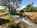 ขายที่ดิน - ขายที่ดินติดลำห้วยเชียงดาววิวสวยน้ำไฟถนนคอนกรีตพร้อมโอน