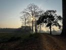 ขายที่ดิน - ริมน้ำสะพานหินดาด อำเภอทองผาภูมิ ถูกตำราฮวงจุ้ย หน้าติดน้ำ หลังติดเขา หน้าน้ำกว้าง 700 กว่าเมตร