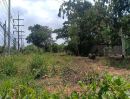 ขายที่ดิน - ขายที่ดินเปล่าเนื้อที่ดิน 6 ไร่ 2 งาน 31.7 ตารางวา ที่ดินเปล่าถมแล้วเหมาะเเก่การลงทุน ติดถนนฉะเชิงเทรา-กบินทร์บุรี