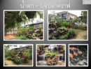 ขายบ้าน - ลดอีก! ขายบ้านเดี่ยว 212 ตร.ม. / เพชรเกษม 81 / ต่อเติมครัวนอก+ออฟฟิศ+สวนในบ้านกว้าง 5 เมตร